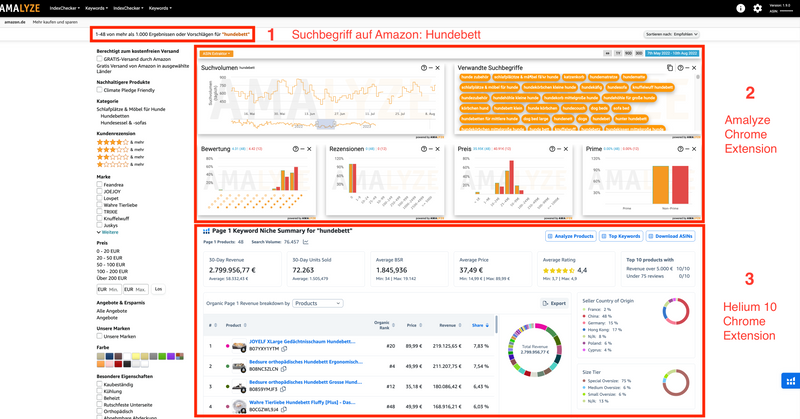 Output der Chrome-Extensions