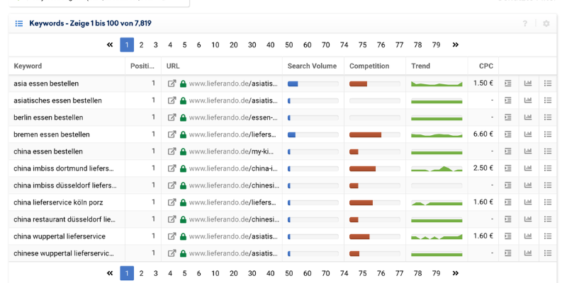 Veranschaulichung vom Filtern nach Keywords in Sistrix mithilfe von RegEx-SEO.