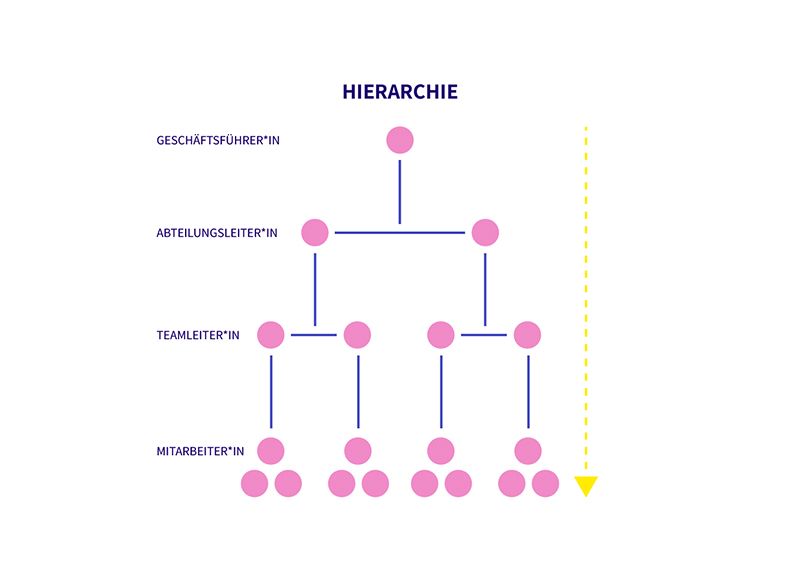 Hierarchie grafisch dargestellt mit einzelnen Ebenen und Rollen untereinander