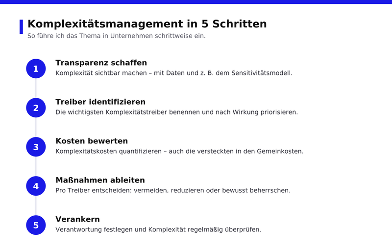 Schritte des Komplexitätsmanagements