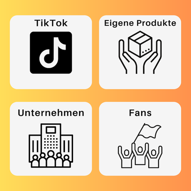 Vier Kacheln mit Symbolen: TikTok-Logo, Hände mit Paket ('Eigene Produkte'), Gebäude mit Menschen ('Unternehmen') und jubelnde Fans mit Fahne ('Fans').