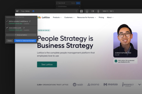 Webflow Screenshot