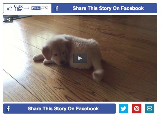 Tiere und Social, das passt zusammen. Mit fetten Bannern rund um die Videos will LittleThings seine Nutzer zum Sharen und Liken bringen. (Foto: LittleThings)