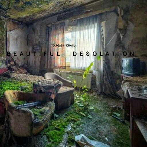 BEAUTIFUL DESOLATION