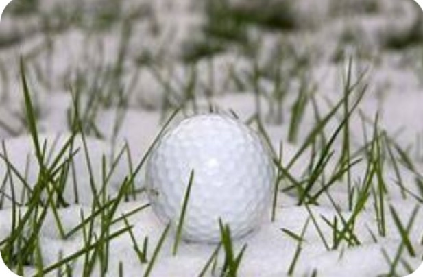 Championnats Hiver 2025  Équipes hommes et dames