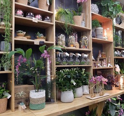 Les magasins sont plutôt en centre-ville.