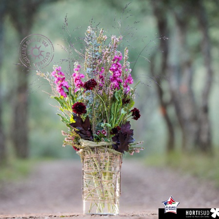 Mélancolie par Stéphane Chanteloube (MOF) pour Hortisud