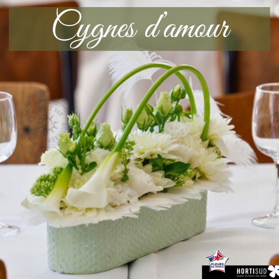 Cygnes d'amour par Charline Pritscaloff (MOF)