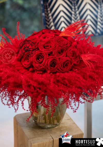 Bella Notte pour un Valentin très amoureux