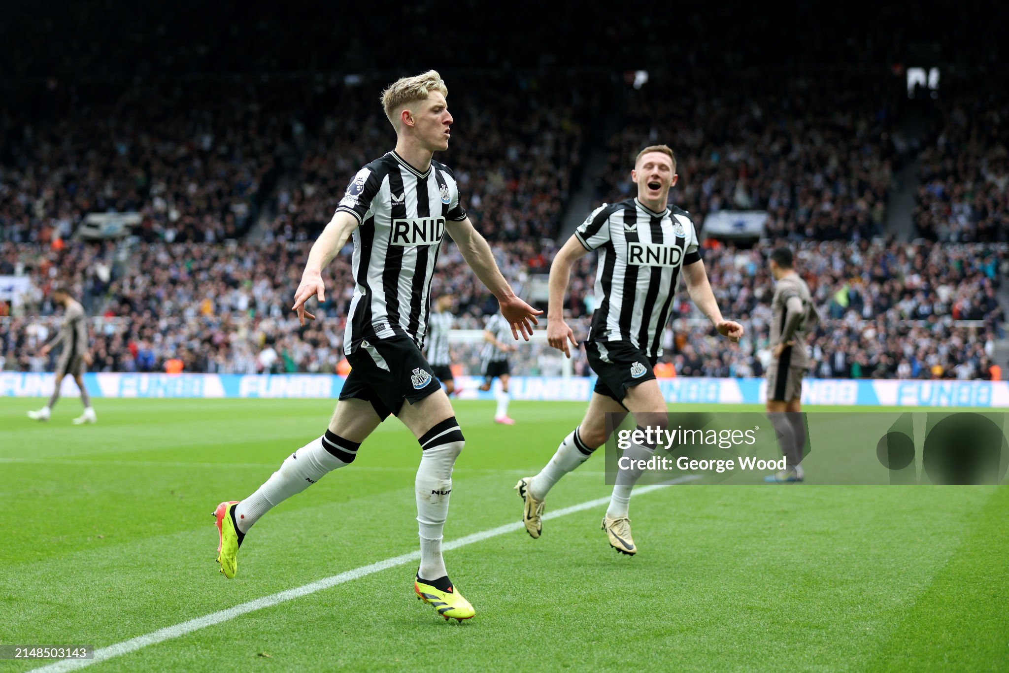 gettyimages-2148503143-2048x2048.jpeg