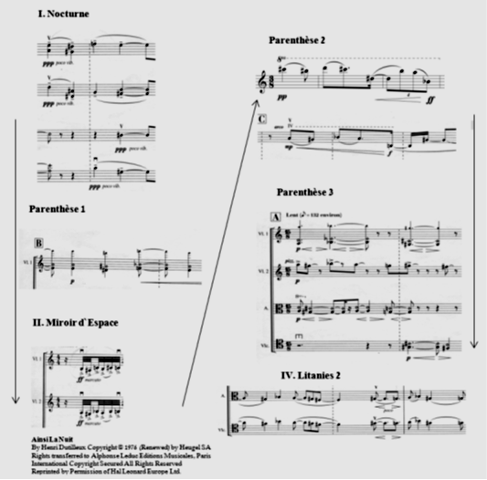דוגמה 2 - דוגמה להתפתחות הדרגתית: מוטיב התא הכרומטי