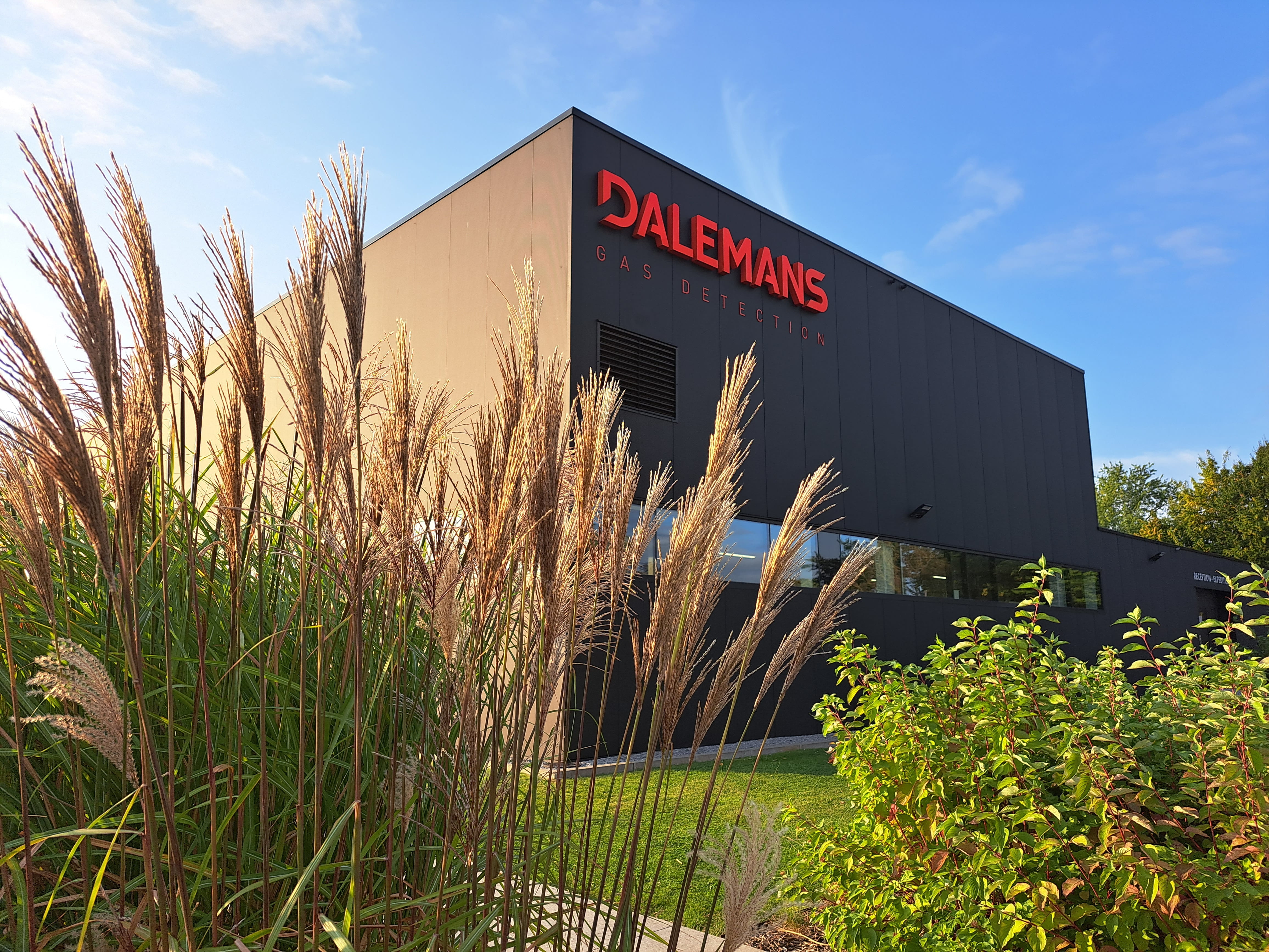 dalemans-4.jpg