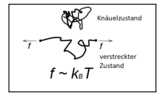 https://eu-central-1.graphassets.com/Aype6X9u2QGewIgZKbFflz/J2pRB0ZS7muXj0xp5HQw